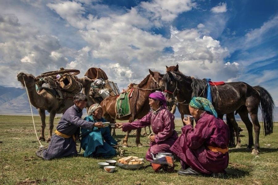 A herder family with horses and tea