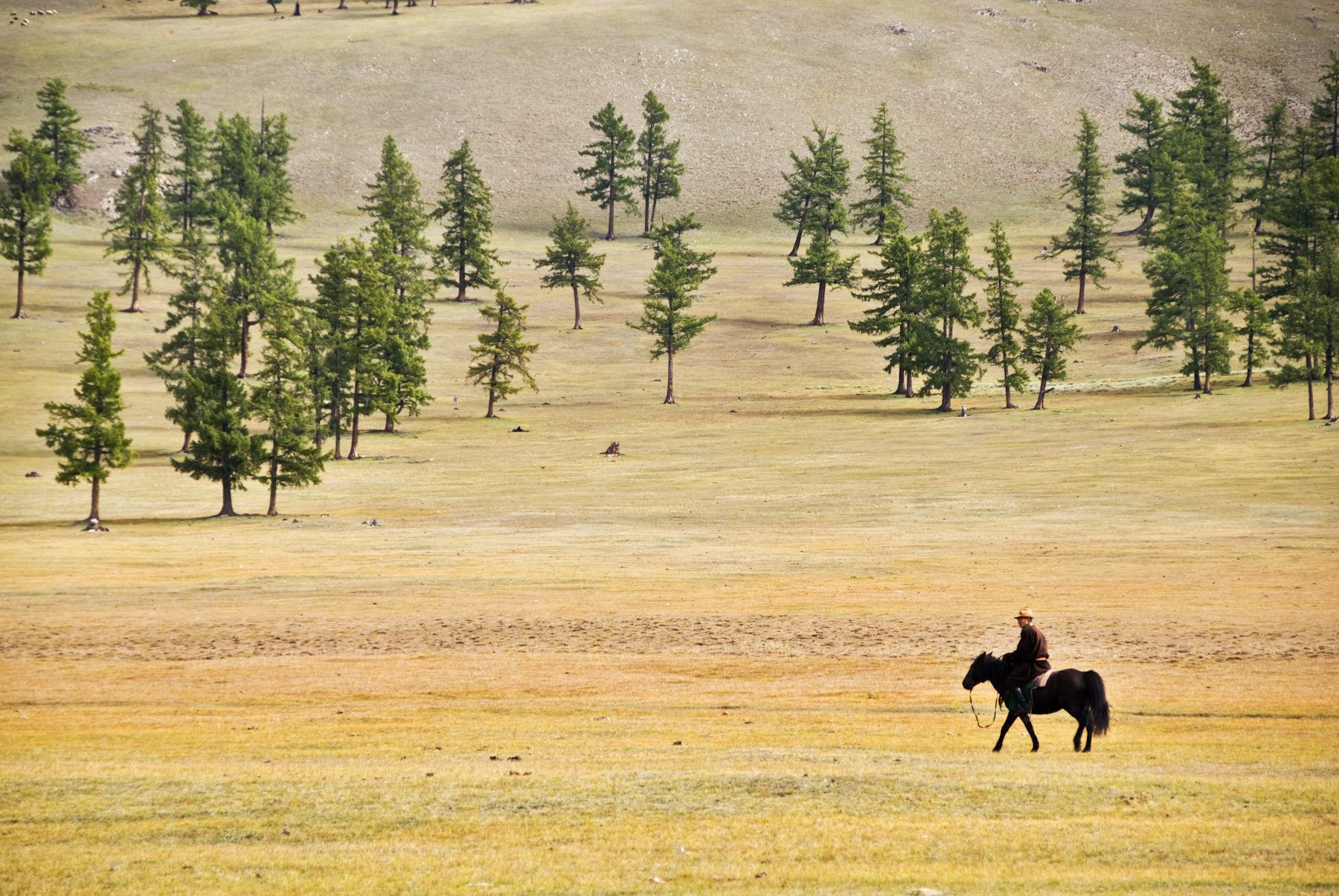 A guest in a deel riding past the lodge
